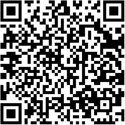 QR Code PIX Nerdin